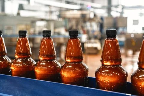 Plastic bottles with light filtered beer on the conveyor. Industrial production Stock Photos