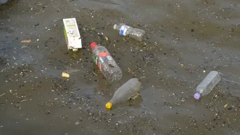 Plastic bottles litter pollution floating on River Thames, London, UK. Stock Footage 71170507