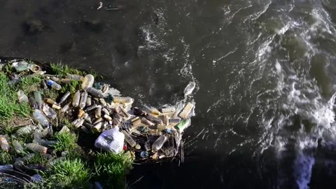 Plastic bottles in Olt river Stock Footage 271371937