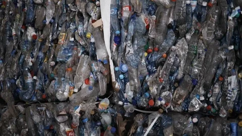 Plastic bottles in pallets, sorting for reuse at recycling processing plant. Stock Footage 120123463
