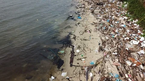 Plastic bottles pollute beach Video stock 90791827
