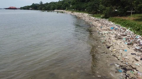 Plastic bottles pollute beach Stock-Footage 91073876