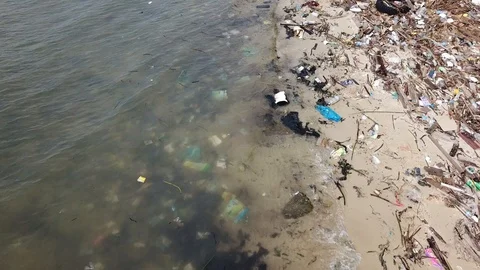 Plastic bottles pollute beach Video stock 91074149