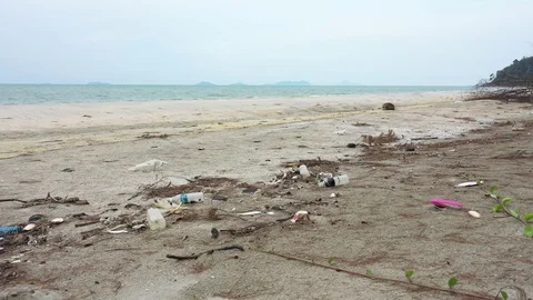 Plastic bottles pollute beach Video stock 109446310