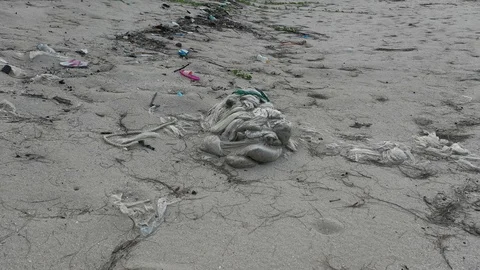 Plastic bottles pollute beach Vídeo Stock 109446613