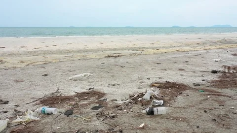 Plastic bottles pollute beach Stock Footage 109447296