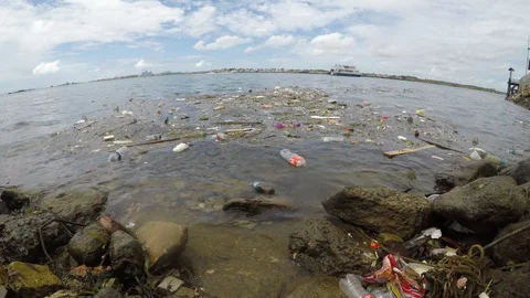 Plastic bottles pollute beach Stock Footage 111401349