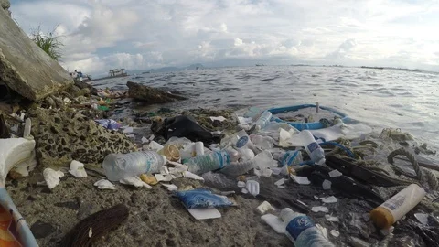 Plastic bottles pollute beach Video stock 111807254