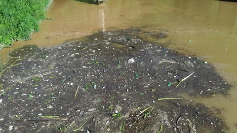 Plastic bottles pollute river Stock Footage 108418245