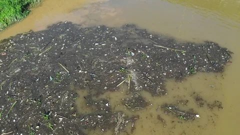 Plastic bottles pollute river Stock Footage 111607696