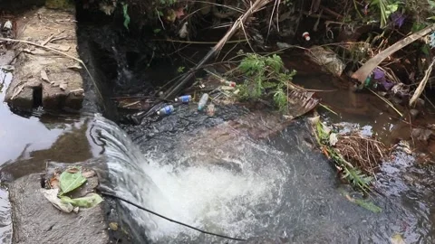 Plastic bottles pollute river water. Stock Footage 274996782