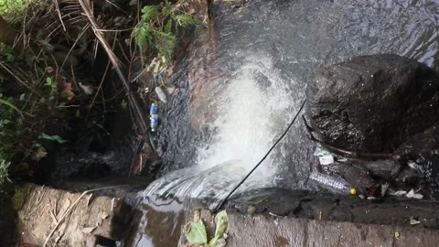 Plastic bottles pollute river water. Stock Footage 274996783
