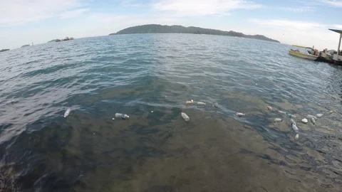 Plastic bottles pollute sea Video stock 121981986