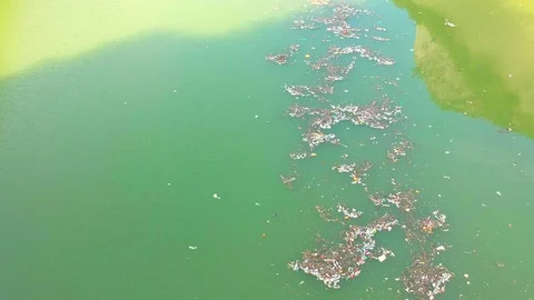 Plastic bottles in a polluted river water Video stock 91941026