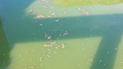 Plastic bottles in a polluted river water Video stock 91941028