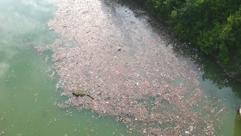 Plastic bottles in a polluted river water Video stock 91941082