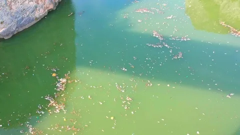 Plastic bottles in a polluted river water Video stock 91941106