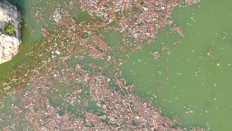 Plastic bottles in a polluted river water Video stock 91941986