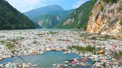 Plastic bottles in a polluted river water Stock Footage