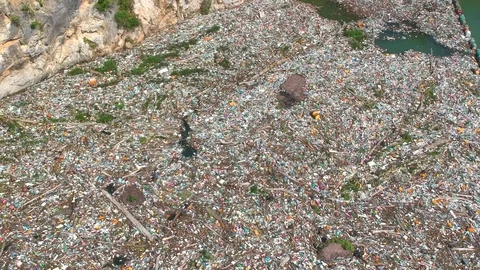 Plastic bottles in a polluted river water Video stock 91942748
