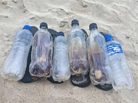 Plastic bottles on the sandy beach Fotos de archivo