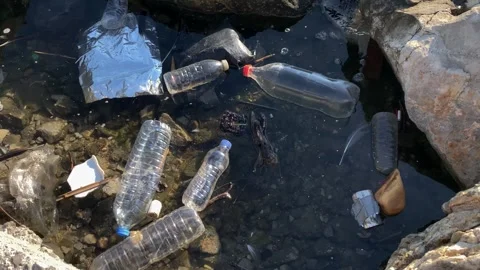 Plastic Bottles on the Shore 스톡 동영상 335254278