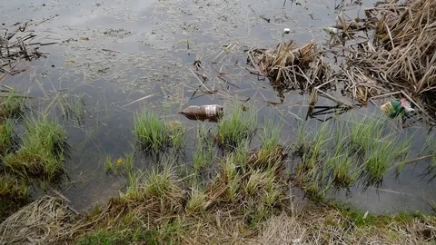 Plastic bottles in the small pond Stock Footage 106799023