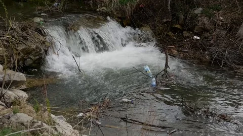 Plastic bottles in the small river. Stock Footage 106798515