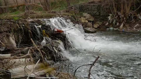 Plastic bottles in the small river. Stock Footage 106798551