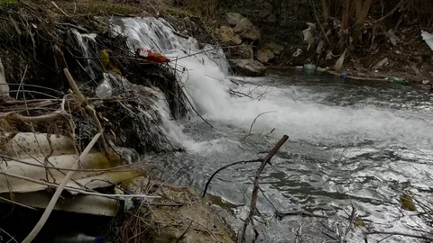Plastic bottles in the small river. Stock Footage 106798561
