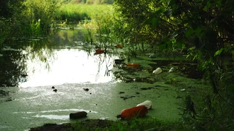 Plastic bottles thrown by people into the lake water. Vídeo Stock 342637868