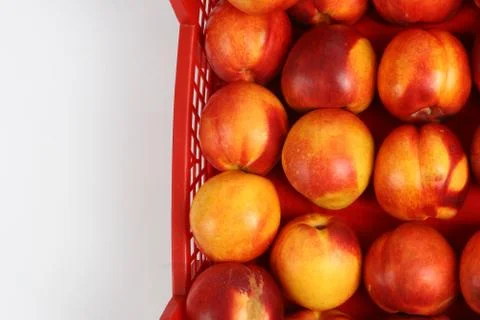 Plastic box with apples on a white background Stock Photos