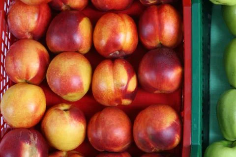 Plastic box with apples on a white background Stock Photos