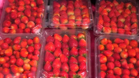 Plastic boxes filled with fresh ripe strawberries on counter of fruit market Stock Footage 168820275
