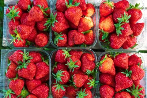 Plastic boxes with ripe red sweet strawberries ready to eat Stock Photos