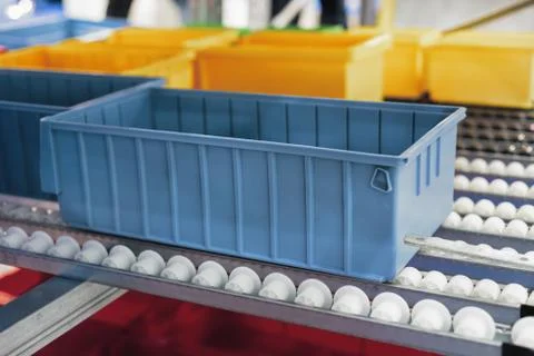 Plastic boxes on the roller conveyor. Stock Photos