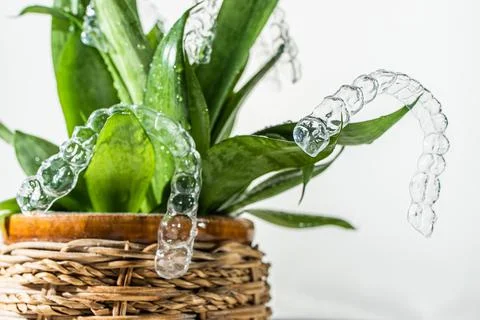 Plastic braces dentistry retainers for teeth straightening hanging on green l Stock Photos