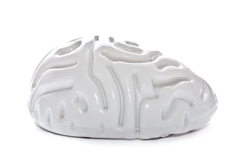 Plastic brain Stock Photos