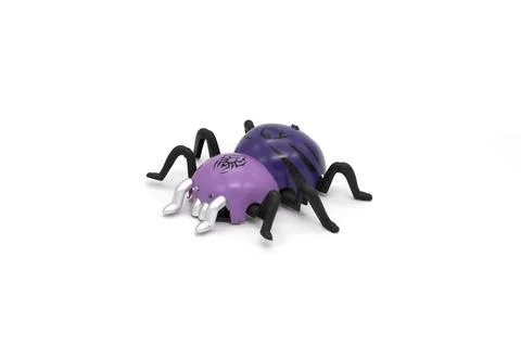 Plastic bug toy isolated white Stock Photos