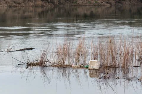 Plastic canister float on water among reed Foto stock