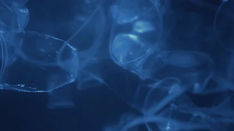 Plastic is the cause of global warming  is under water. Save earth save wold  Vídeo Stock 153380538