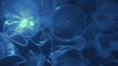 Plastic is the cause of global warming is under water. Save earth save wold  Stock Footage 153380567