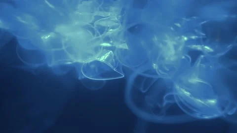 Plastic is the cause of global warming  is under water. Save earth save wold  Vídeo Stock 153380618