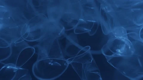 Plastic is the cause of global warming  is under water. Save earth save wold  库存影片 153380619
