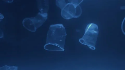 Plastic is the cause of global warming  is under water. Save earth save wold  Vídeo Stock 153380656