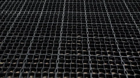 Plastic cellular grid for ground stabilization and drainage Stock Footage 314235980