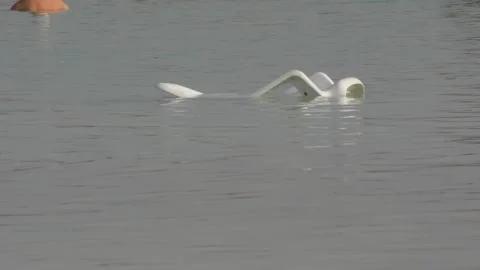 Plastic chairs in dead sea Stock-Footage 163079858
