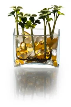 Plastic clover Photos