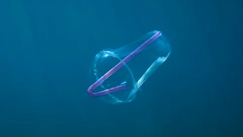 Plastic cocktail cup with a plastic straw slowly drifts underwater in blue water Stock Footage 145351356