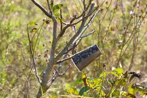Plastic coffee cup on a tree closeup polluting the nature Stock-Fotos